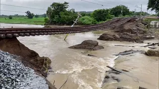 Telangana, Andhra Face Rain Havoc, 35 Killed, Thousands Left Homeless; IMD Predicts More Rains | Updates